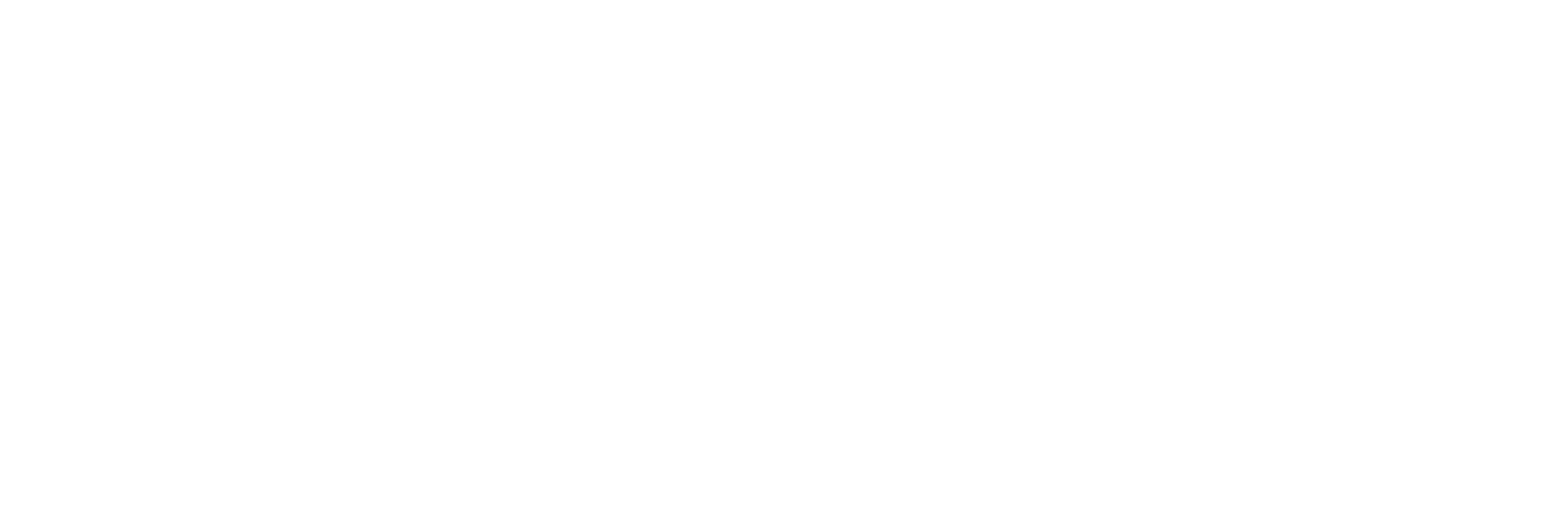 Parzik Logo